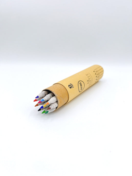 Recycled Newspaper Colored Pencils