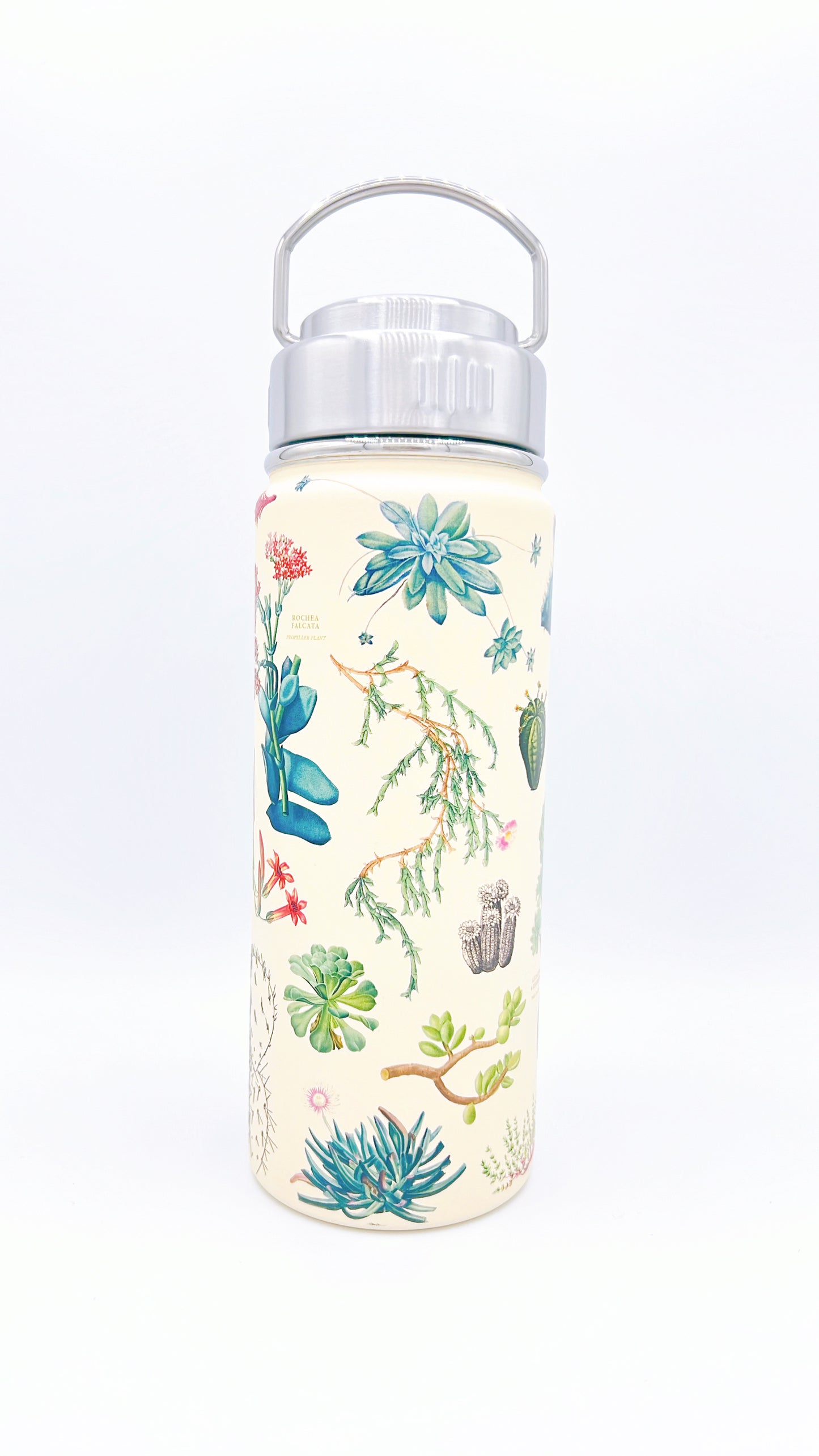 Cognitive Surplus Water Bottle featuring a succulent design, perfect for eco-friendly hydration on the go. 18.6 fl oz